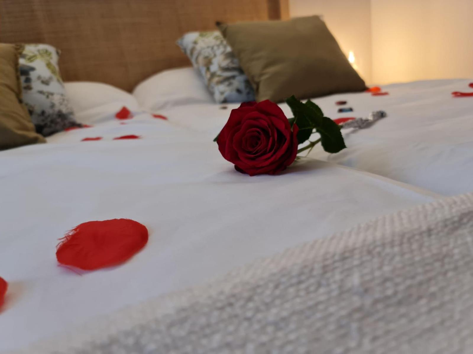 Hotel Camino De Las Estrellas Serranillos Екстериор снимка